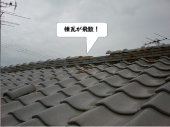 和歌山市の棟瓦が飛散
