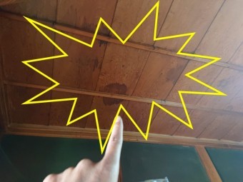 和歌山市に無料調査へ行ったら和室の天井に雨漏りのシミが付いていました