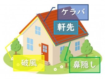 503e83f225e95240d7e7f21bc32e6b0f-simple