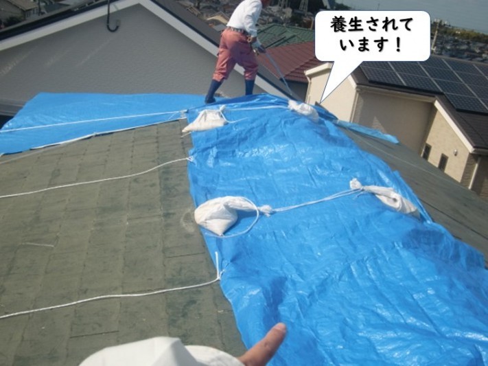 紀の川市の屋根を養生されています