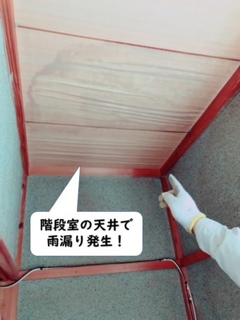 紀の川市の階段室の天井で雨漏り発生