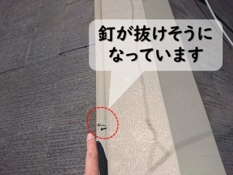 岩出市屋根塗装を行う前に現場調査へきて棟板金の様子を見ると釘が抜けかかっていました