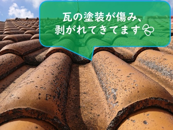 岩出市でセメント瓦の劣化状況を見ると、表面の塗膜が劣化しており剥がれていました