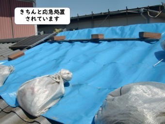 岩出市の屋根がきちんと応急処置されています