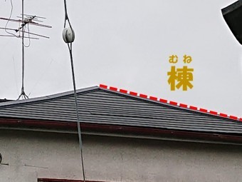 棟の説明した写真
