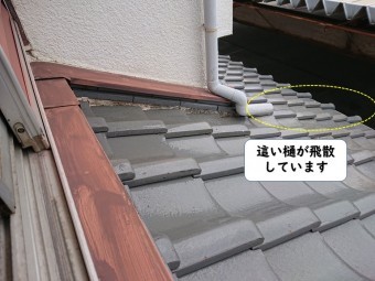 岩出市の這樋が飛散