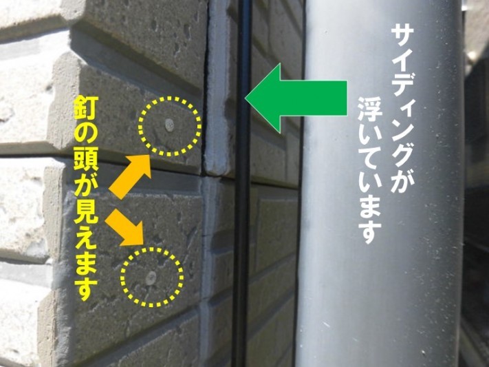 紀の川市で外壁の現調サイディングが剥がれ釘の頭が見えていた