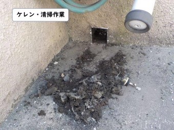 紀の川市のケレン清掃