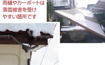 雨樋やカーポートは落雪被害を受けやすい場所です
