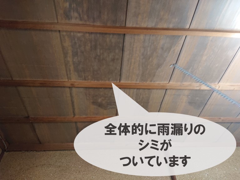 和歌山市の雨漏り調査で和室の天井一面に雨漏りのシミができていました