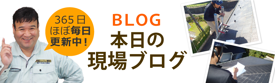 和歌山市、岩出市、紀の川市やその周辺エリア、その他地域のブログ