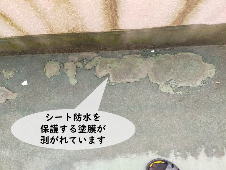 和歌山市でシート防水の保護膜が剥がれてます