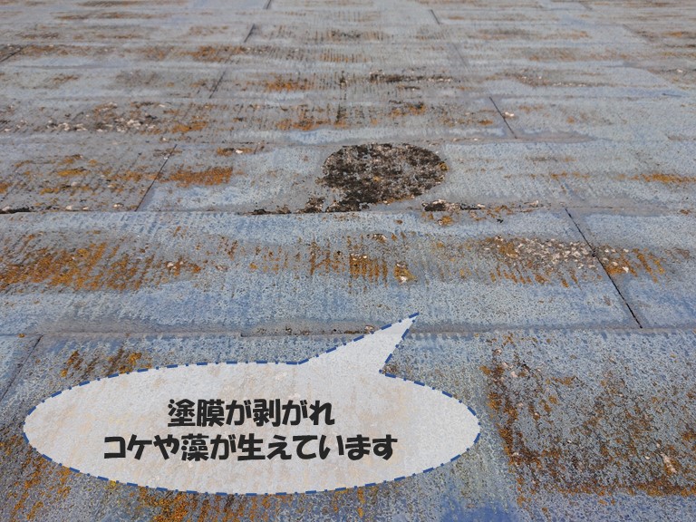 和歌山市でスレートの塗膜が剥がれ、コケが生えおり防水機能が低下していました