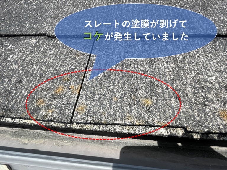 和歌山市でスレートの塗膜が剥がれてコケが発生していました