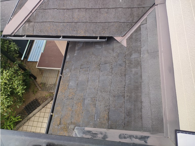 和歌山市でスレート屋根にコケた付着していた