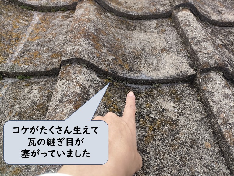和歌山市でセメント瓦にコケが付き、雨漏りを引き起こしていました