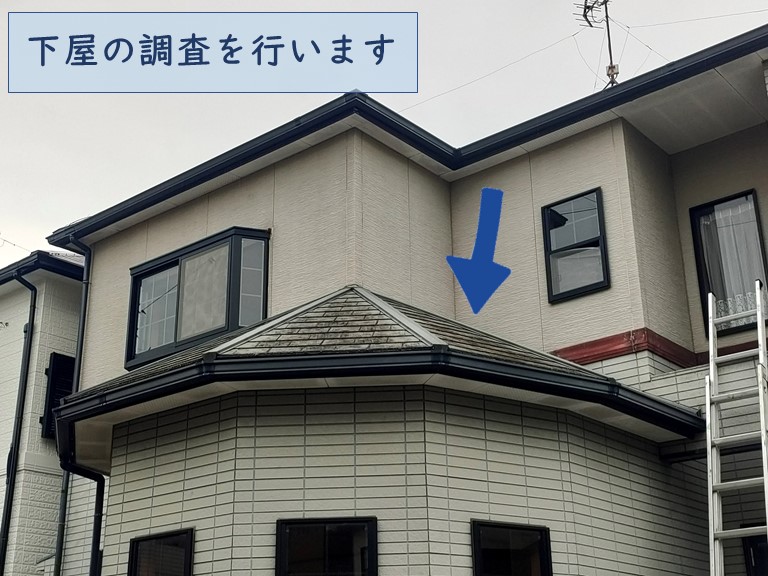 和歌山市で下屋の調査を行いました