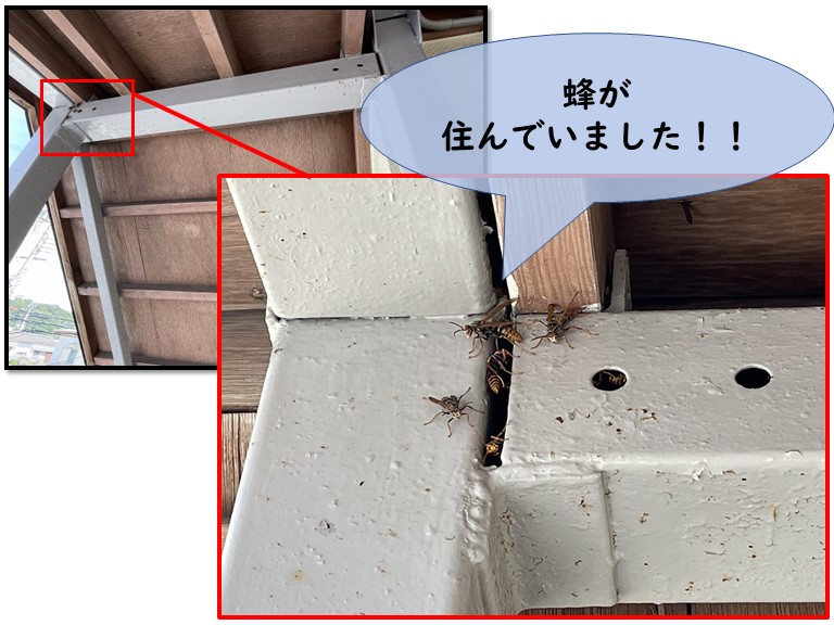 和歌山市で外部階段に蜂の巣が・・・