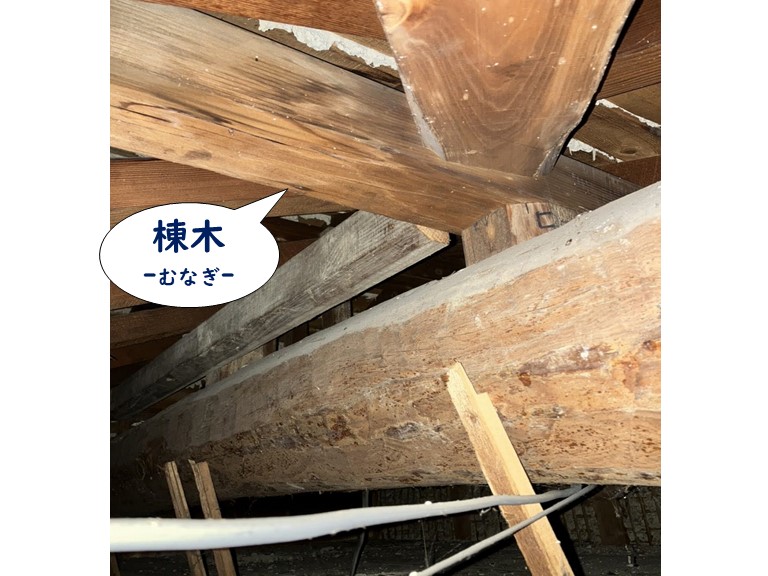 和歌山市で屋根裏を調査すると棟木の雨水の跡がありました