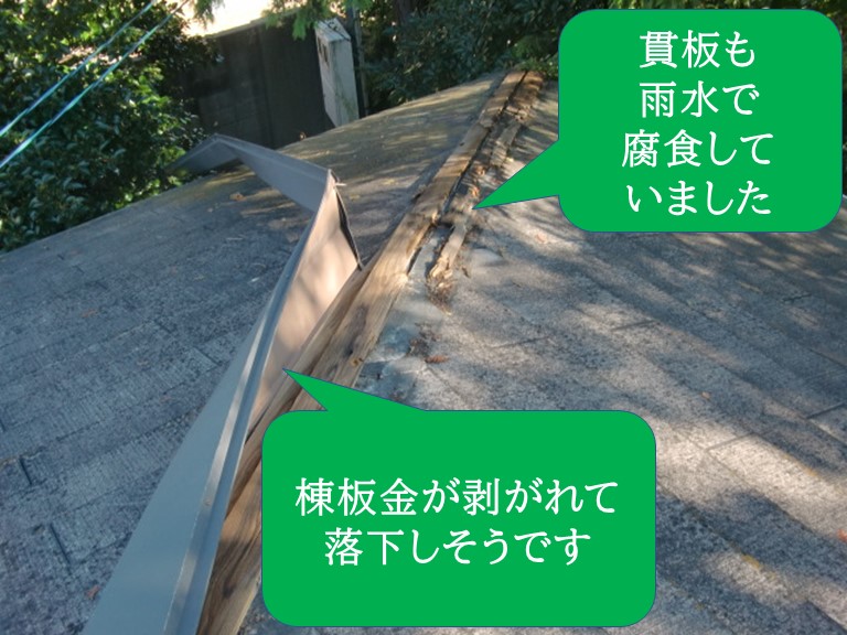 和歌山市で棟板金が落下しそうで、貫板(下地)も腐食していました
