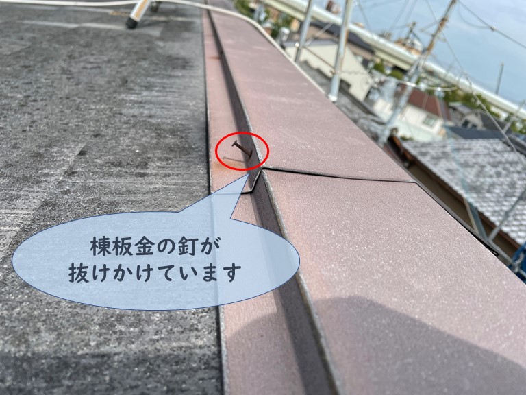 和歌山市で棟板金の釘が抜けかけています