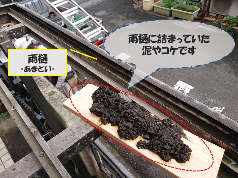 和歌山市で波板張替工事を行うのに、雨樋の泥やコケを取り除きます