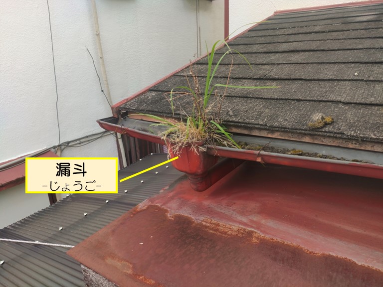 和歌山市で漏斗に雑草が生えていました