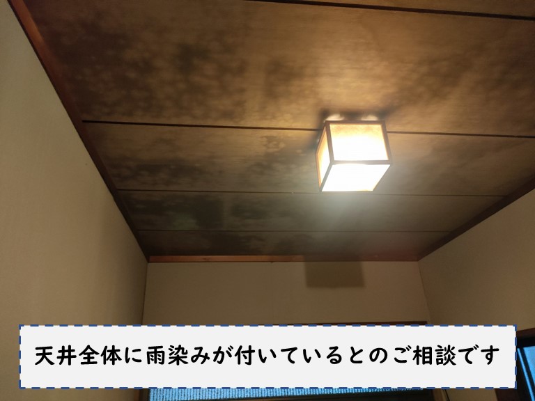 和歌山市で玄関の天井から雨漏り