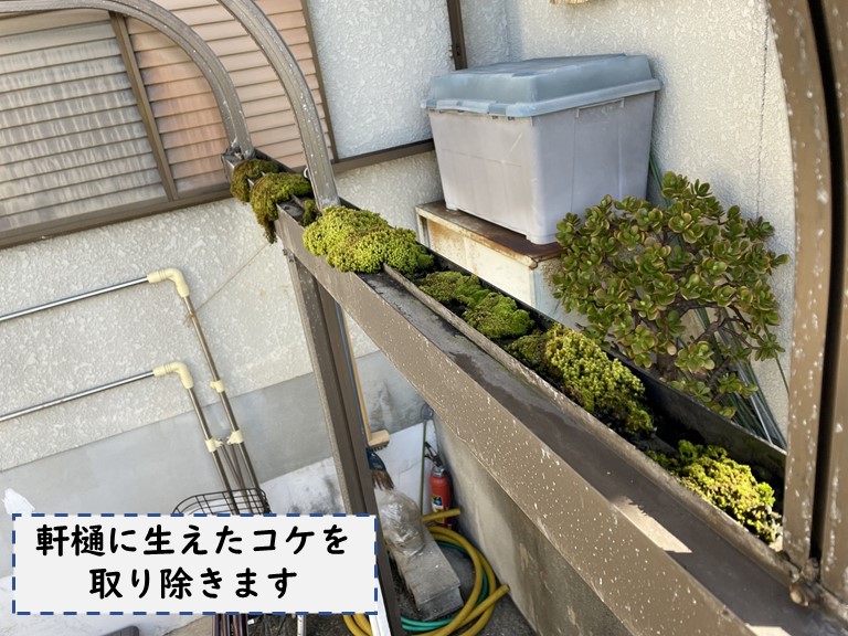 和歌山市で軒樋に生えたコケを撤去します