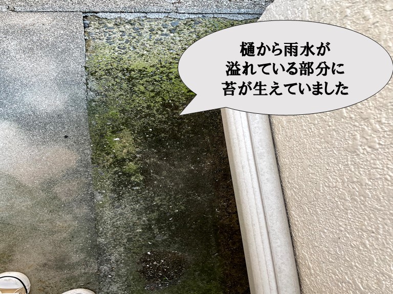 和歌山市で雨樋から雨水が溢れ地面にコケが生えています