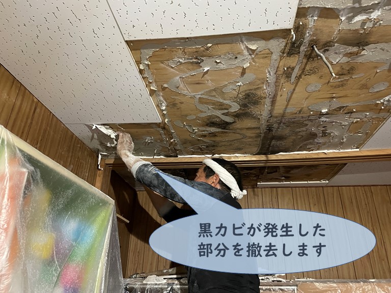 和歌山市で黒カビが発生した天井を撤去していきます