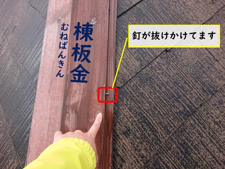 和歌山市のスレート屋根を調査すると棟板金を固定している釘が抜けかかっていました