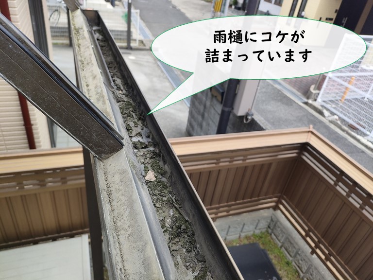和歌山市のテラスの雨樋にはコケがつまっていました