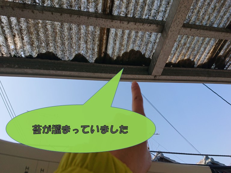 和歌山市のベランダ屋根の先に苔が詰まってました