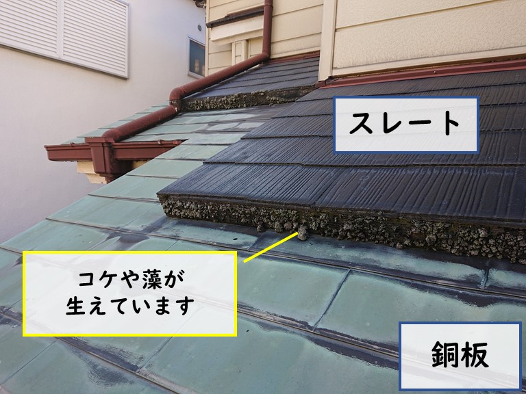 和歌山市の下屋を見ると、スレートと銅板の屋根がありスレート