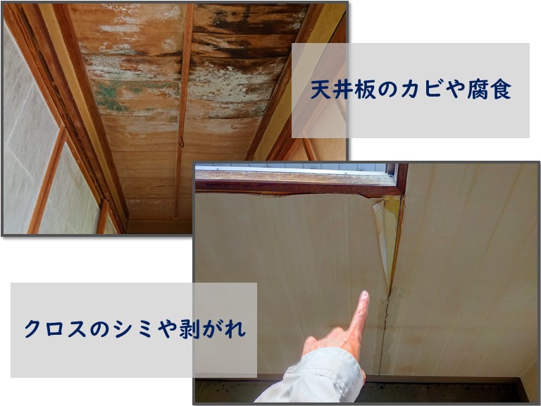 和歌山市の雨漏り被害でシミやカビ、木部が腐食していました