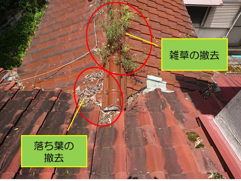 紀の川市の雨漏り調査の結果、屋根の雑草撤去と落ち葉の撤去していきます